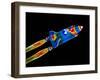 Space Shuttle-null-Framed Photographic Print