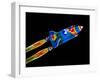 Space Shuttle-null-Framed Photographic Print