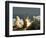 Space Shuttle-John Raoux-Framed Photographic Print