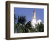 Space Shuttle-John Raoux-Framed Photographic Print