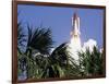 Space Shuttle-John Raoux-Framed Photographic Print