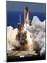 Space Shuttle-Chris O'Meara-Mounted Photographic Print