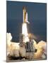 Space Shuttle-Chris O'Meara-Mounted Photographic Print