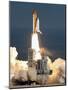 Space Shuttle-Chris O'Meara-Mounted Photographic Print