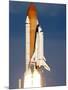 Space Shuttle-Alan Diaz-Mounted Photographic Print