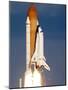 Space Shuttle-Alan Diaz-Mounted Photographic Print