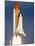 Space Shuttle-Alan Diaz-Mounted Photographic Print