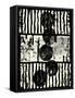 Space Solution Xviii.-Petr Strnad-Framed Stretched Canvas