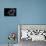 Space Station 5 in Earth Orbit-null-Stretched Canvas displayed on a wall