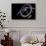 Space Station 5 in Earth Orbit-null-Art Print displayed on a wall