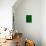 Space, Time, Motion, Green, 2010-Izabella Godlewska de Aranda-Stretched Canvas displayed on a wall