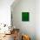 Space, Time, Motion, Green, 2010-Izabella Godlewska de Aranda-Mounted Giclee Print displayed on a wall