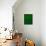 Space, Time, Motion, Green, 2010-Izabella Godlewska de Aranda-Framed Stretched Canvas displayed on a wall