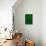 Space, Time, Motion, Green, 2010-Izabella Godlewska de Aranda-Stretched Canvas displayed on a wall