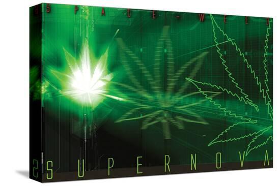 Space-Weed Supernova--Stretched Canvas