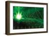 Space-Weed Supernova-null-Framed Art Print