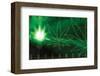 Space-Weed Supernova-null-Framed Art Print