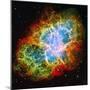 Space-null-Mounted Photographic Print