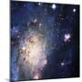 Space-null-Mounted Photographic Print