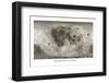 Spacecraft on the Moon, Lunar Map-Detlev Van Ravenswaay-Framed Premium Photographic Print