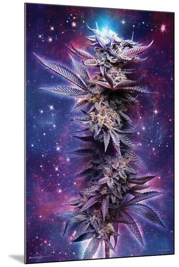 Poster, , large