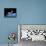 SpaceShipOne, Artwork-Henning Dalhoff-Framed Stretched Canvas displayed on a wall