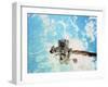 Spacewalk During Shuttle Mission STS-69-null-Framed Premium Photographic Print