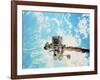 Spacewalk During Shuttle Mission STS-69-null-Framed Photographic Print