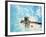 Spacewalk During Shuttle Mission STS-69-null-Framed Photographic Print