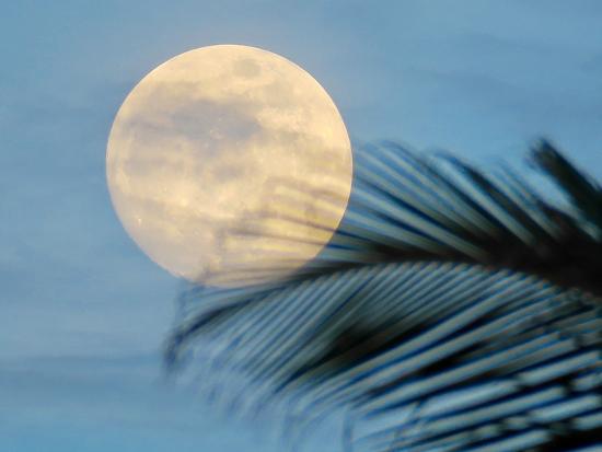 Photographic Print, , large