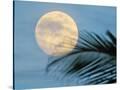 Stretched Canvas