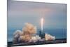 Spacex Crs-10 Launch-null-Mounted Photographic Print
