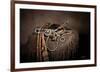 Spade and Spur-Barry Hart-Framed Giclee Print