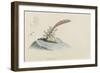 Spadix Purpurea: Hydroid-Philip Henry Gosse-Framed Giclee Print