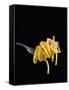 Spaghetti Alla Carbonara, Italian Pasta Dish Based on Eggs, Cheese, Bacon and Black Pepper, Italy-Nico Tondini-Framed Stretched Canvas