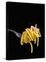 Spaghetti Alla Carbonara, Italian Pasta Dish Based on Eggs, Cheese, Bacon and Black Pepper, Italy-Nico Tondini-Stretched Canvas