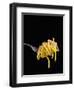 Spaghetti Alla Carbonara, Italian Pasta Dish Based on Eggs, Cheese, Bacon and Black Pepper, Italy-Nico Tondini-Framed Premium Photographic Print