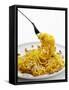 Spaghetti Alla Carbonara, Italy, Europe-Angelo Cavalli-Framed Stretched Canvas