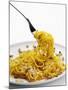 Spaghetti Alla Carbonara, Italy, Europe-Angelo Cavalli-Mounted Photographic Print