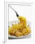 Spaghetti Alla Carbonara, Italy, Europe-Angelo Cavalli-Framed Photographic Print