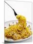 Spaghetti Alla Carbonara, Italy, Europe-Angelo Cavalli-Mounted Photographic Print