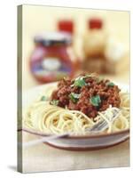Spaghetti Bolognese-Sam Stowell-Stretched Canvas