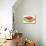 Spaghetti Bolognese-null-Mounted Art Print displayed on a wall