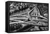 Spaghetti Junction-null-Framed Stretched Canvas