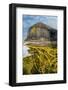 Spaghetti seaweed, Fingal's Cave. Isle of Staffa, Scotland-Alex Mustard-Framed Photographic Print