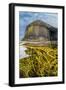 Spaghetti seaweed, Fingal's Cave. Isle of Staffa, Scotland-Alex Mustard-Framed Photographic Print