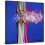 Spaghetti Surprise-Alan Sailer-Stretched Canvas