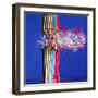 Spaghetti Surprise-Alan Sailer-Framed Photographic Print