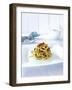 Spaghetti with Dried Tomatoes, Herbs and Olives-Daniel Reiter-Framed Photographic Print