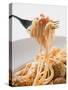 Spaghetti with Meatballs and Tomato Sauce on Fork-null-Stretched Canvas